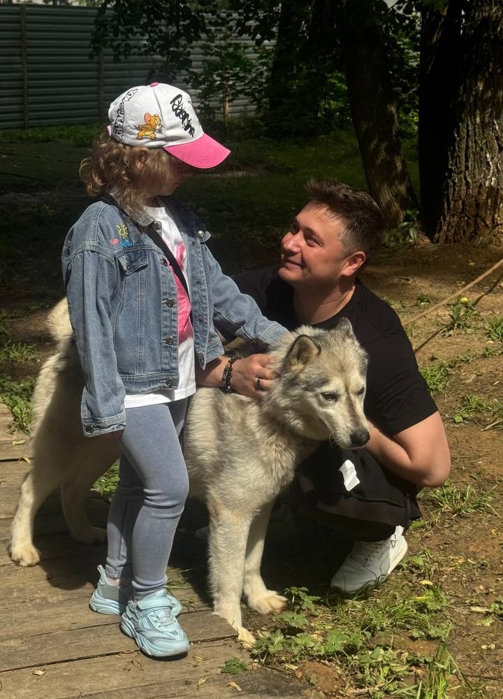 Хаски